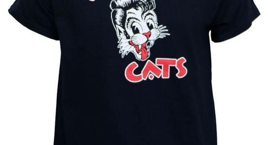 The Ultimate Fan's Guide to Stray Official Merchandise