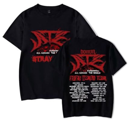 Decoding the Craze: Inside the World of Stray Merchandise
