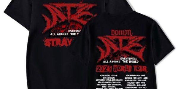 Decoding the Craze: Inside the World of Stray Merchandise