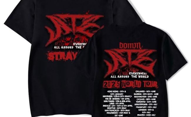 Decoding the Craze: Inside the World of Stray Merchandise