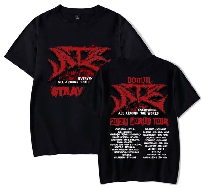 Decoding the Craze: Inside the World of Stray Merchandise
