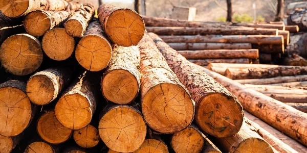 Key Industries That Rely on Hardwood Dunnage Every Day